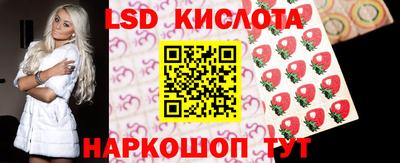 прущие грибы Моздок