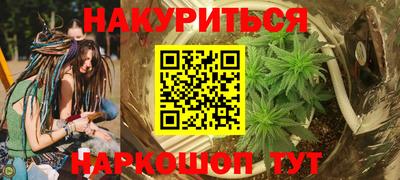 прущие грибы Моздок