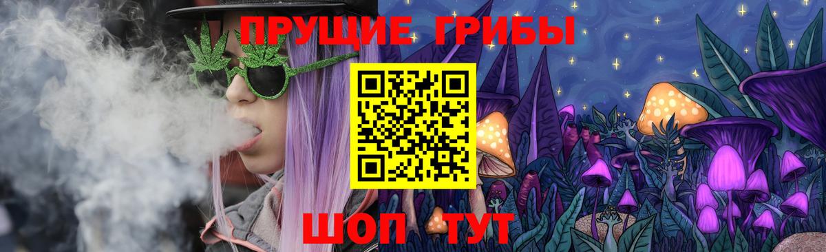 Дедовск  Псилоцибиновые грибы Psilocybe  Псилоцибиновые грибы мухоморы  Вход с VPN 